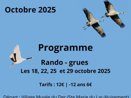 Rando - grues