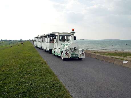 Train aux oiseaux