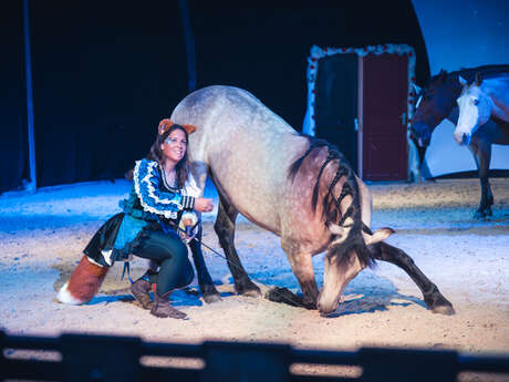 SARL Théâtre Equestre de Champagne
