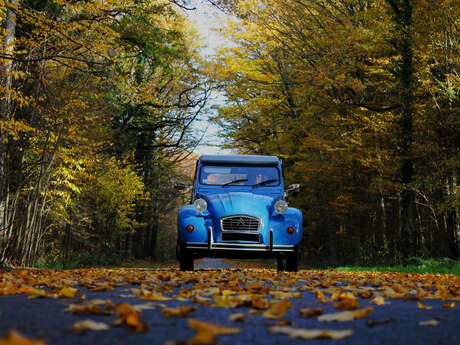 Champagne Rétro Tour