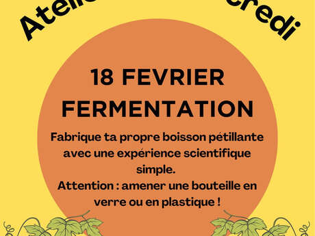 Atelier du Mercredi : fermentation