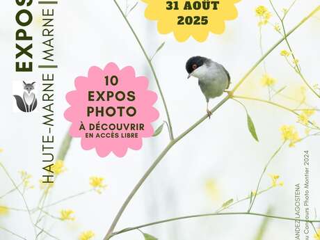 Balade estivale de Photo Nature