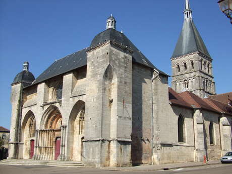 Eglise Notre-Dame-en-sa-Nativité de Wassy