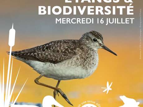 Sortie Nature CPIE - Etangs et biodiversité