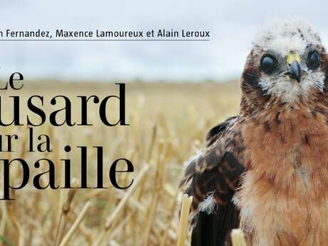 Film : Le busard sur la paille