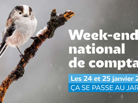 Comptage national des oiseaux des jardins & initiation au comptage