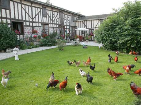 La Ferme Sympa