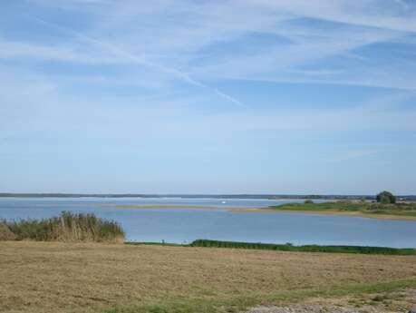 Plage de la Presqu'île de Champaubert