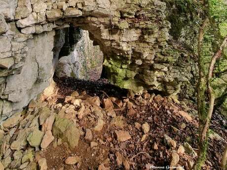 Exposition : Spécificités naturelles et géologiques de Poulangy