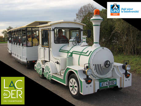 Train aux oiseaux