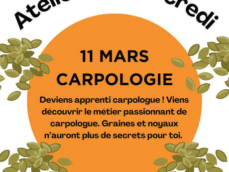 Atelier carpologie