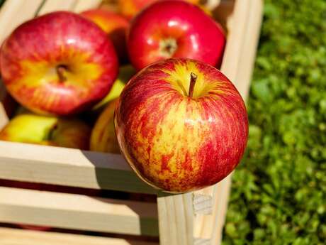 Fête de la pomme et des cucurbitacées