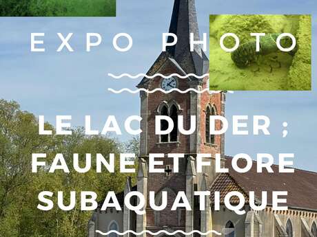 Faune et flore subaquatique