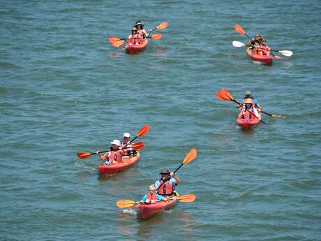 Escapades : Sortie en kayak au Lac du Der