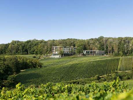 LOISIUM en Champagne