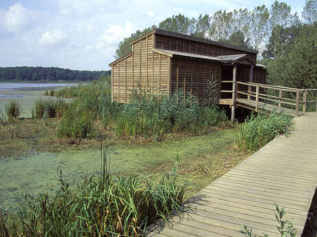 Observatoire ornithologique de l'Etang du Grand Coulon - Sud