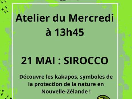 Atelier du Mercredi : Sirocco le kakapo !