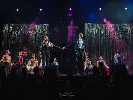 Spectacles, stages et formations au Château de Linières