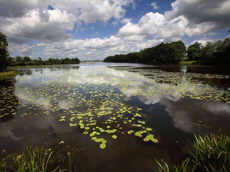 25 L'ETANG NEUF