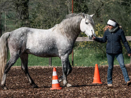 EQUICOACHING AU DOMAINE DES ECUYERS