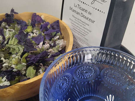 Plantes aromatiques et médicinales - L'Herborigène