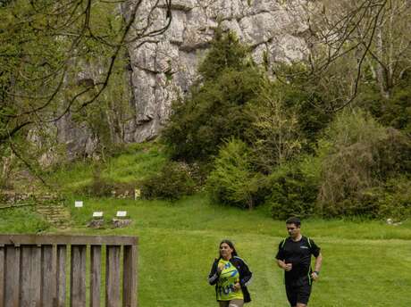 CIRCUIT TRAIL HERMAPHRODITE