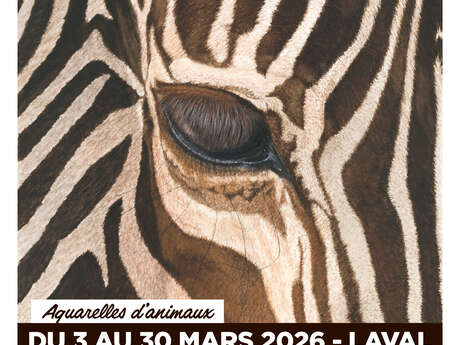 "Aquarelles d'animaux"