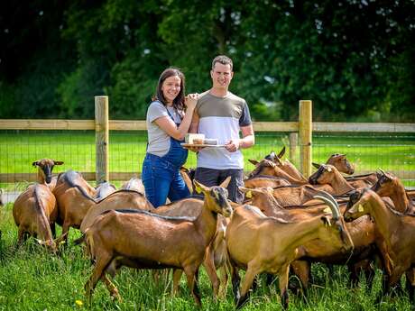 Fromage de chèvre fermier - La Ferme Painchaud
