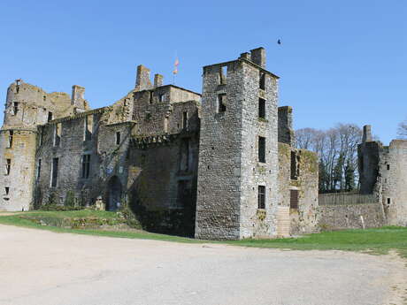 CHATEAU DU BOIS THIBAULT