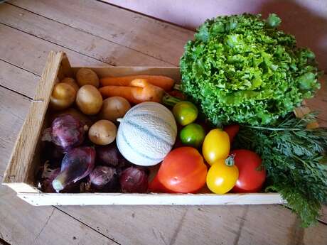 Fruits et légumes - Le Jardin du Bocage