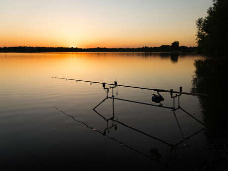 PÊCHE À LA CARPE DE NUIT SUR LA RIVIÈRE LA MAYENNE