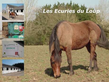 LES ECURIES DU LOUP