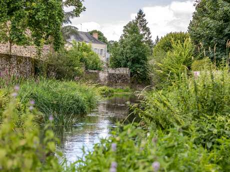 BOUCLE MULTI-RANDONNÉE N°06 - BREE - GESNES - MONTSURS - NEAU - ST CHRISTOPHE DU LUAT - ST CENERE