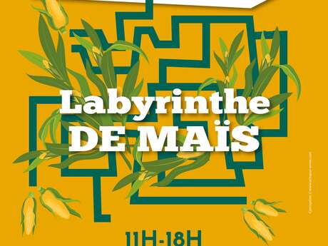 Labyrinthe de maïs aux Jardins des Renaudies