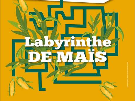 Labyrinthe de maïs aux Jardins des Renaudies