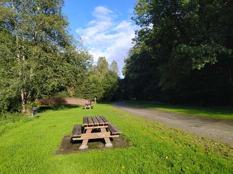 Aire de pique-nique - Oisseau - Quincampoix