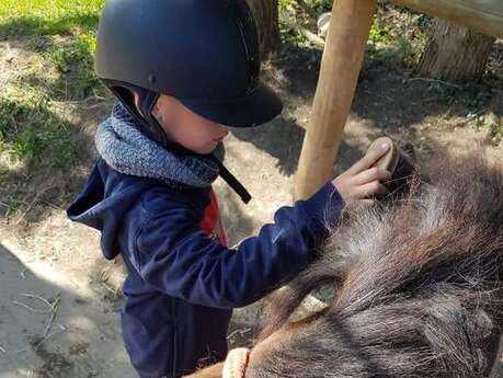 ESPACE EQUESTRE DU FOUILLOUX