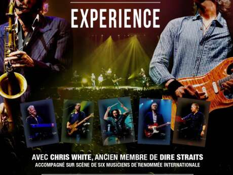 Concert : The Dire Straits Experience // Espace Mayenne