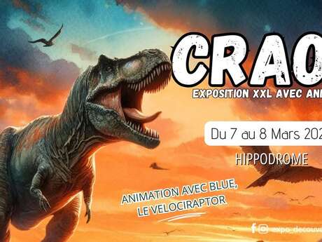 Exposition découverte : L'histoire des Dinosaures