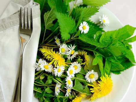 SORTIE NATURE SUR LES PLANTES COMESTIBLES AVEC LE CPIE MAYENNE