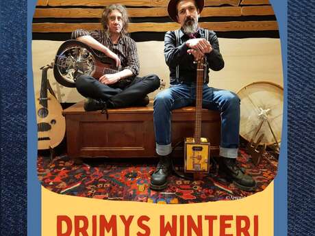 Drimys Winteri - Folk rock