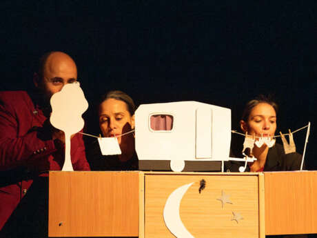 Hector, l'homme extraordinairement fort - théâtre de laine et de papier