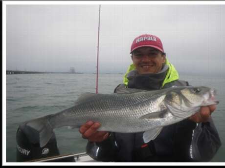 Bretagne Esprit Pêche - guide de pêche