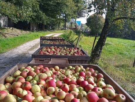 Un après-midi à la ferme - Vergers Latapie