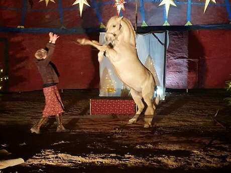 Spectacle équestre de Noël