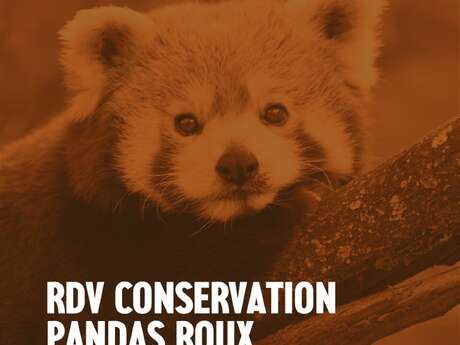 RDV conservation | autour du panda roux