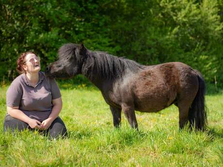 Cercle de chant au milieu des chevaux