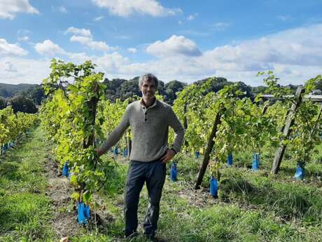 Dégustation et présentation des vignes de Kerplouz