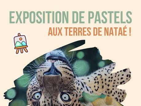 Exposition de pastel aux Terres de Nataé