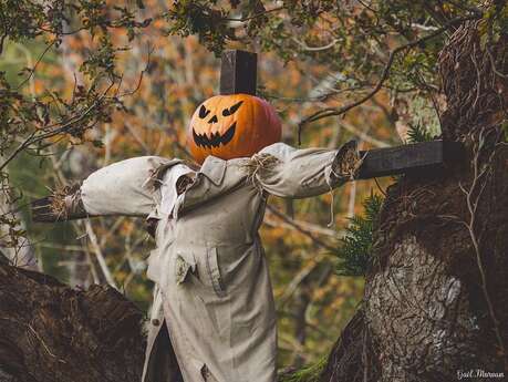 Semaine de Samain - Gloire à la citrouille, chasse au trésor